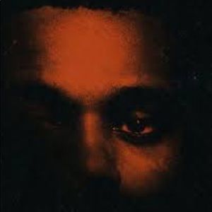 Meet your Posher, Bonnie